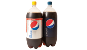 Order 2 Liter food online from Gino's Pizza and Spaghetti House store, Saint Albans on bringmethat.com