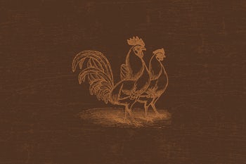 Order Soup of the Day food online from Biaggi's store, Maple Grove on bringmethat.com
