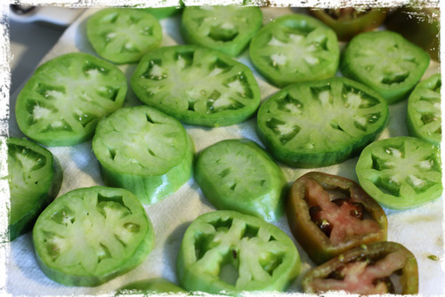 Order Fried Green Tomatoes food online from Little Dooey store, Starkville on bringmethat.com