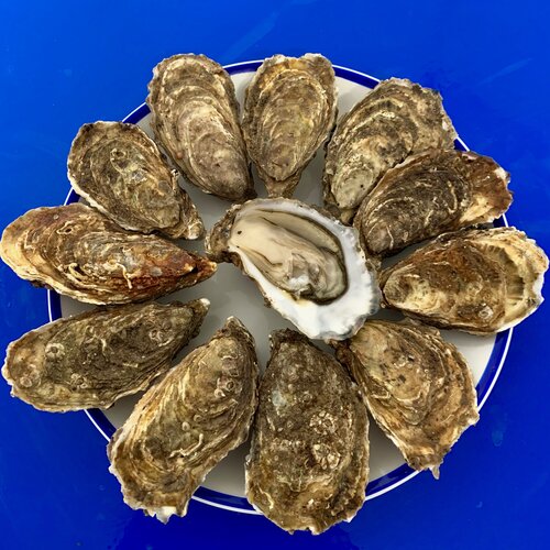 Order Oyster Basket food online from Little Dooey store, Starkville on bringmethat.com