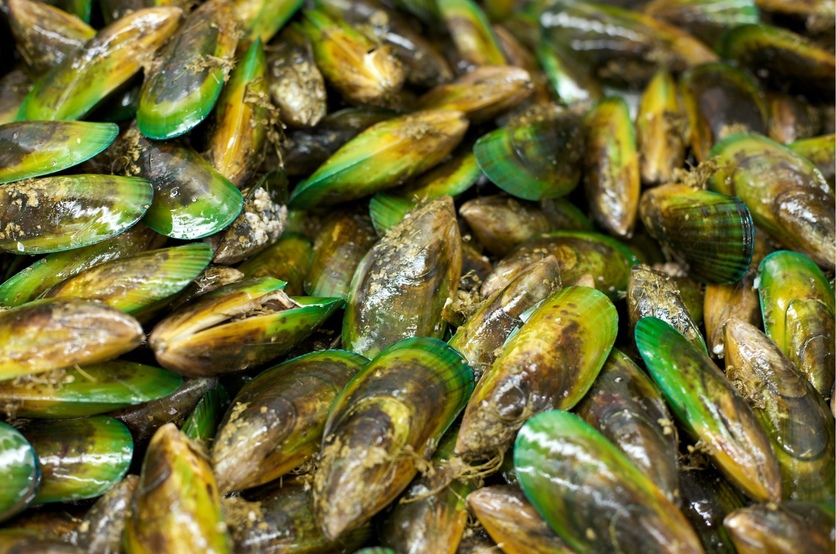Order Green Mussel food online from China King Restaurant store, Wilmington on bringmethat.com