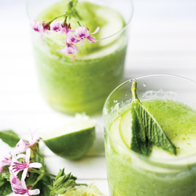 Order Green Apple Slush food online from Sonic Drive-In store, Starkville on bringmethat.com