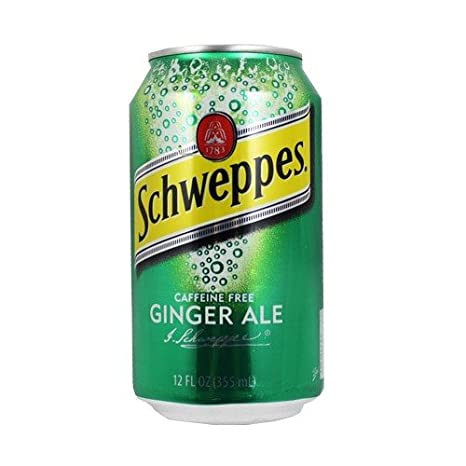 Order Ginger Ale food online from T C Lando's Subs and Pizzeria store, Hudson on bringmethat.com
